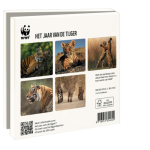 Grußkartenbox mit Umschläge – Quadratisch: Het jaar van de tijger, Wereld Natuurfonds