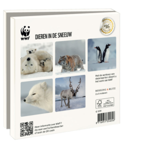 Grußkartenbox mit Umschläge – Quadratisch: Dieren in de sneeuw, Wereld Natuurfonds