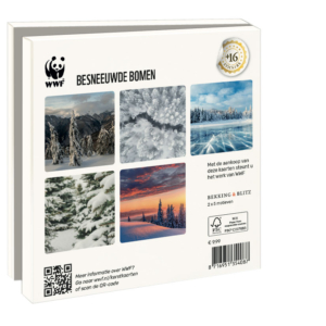 Grußkartenbox mit Umschläge – Quadratisch: Besneeuwde bomen, Wereld Natuurfonds