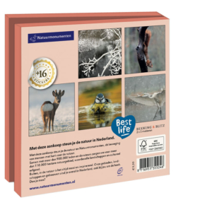 Grußkartenbox mit Umschläge – Quadratisch: Fotografie, Natuurmonumenten