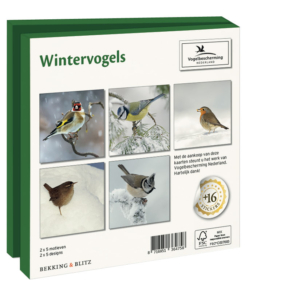 Grußkartenbox mit Umschläge – Quadratisch: Wintervogels, Vogelbescherming Nederland