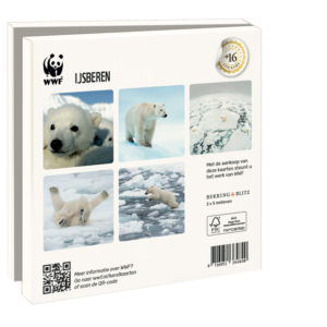 Grußkartenbox mit Umschläge – Quadratisch: IJsberen, Wereld Natuurfonds