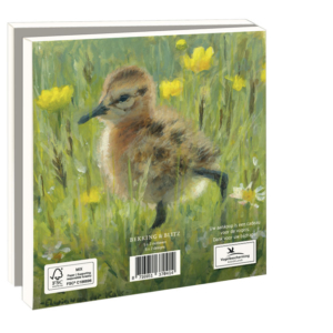 Grußkartenbox mit Umschläge – Quadratisch: Lente, Elwin van der Kolk, Vogelbescherming