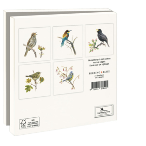 Grußkartenbox mit Umschläge – Quadratisch: Songbirds, Elwin van der Kolk, Vogelbescherming