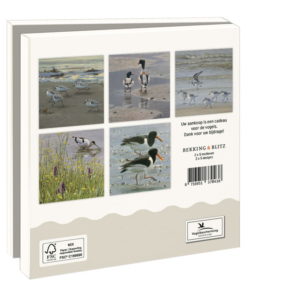 Grußkartenbox mit Umschläge – Quadratisch: Wadvogels, Elwin van der Kolk, Vogelbescherming