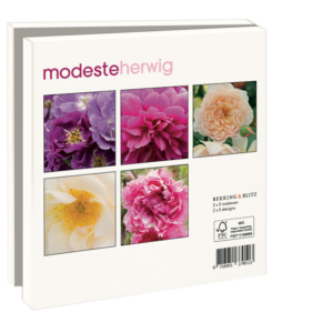 Grußkartenbox mit Umschläge – Quadratisch: Roses, Modeste Herwig