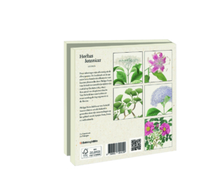Grußkartenbox mit Umschläge – Quadratisch: Flora Japonica, Hortus Leiden