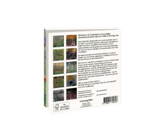 Grußkartenbox mit Umschläge – Quadratisch: Vlindertuin, De Zindering