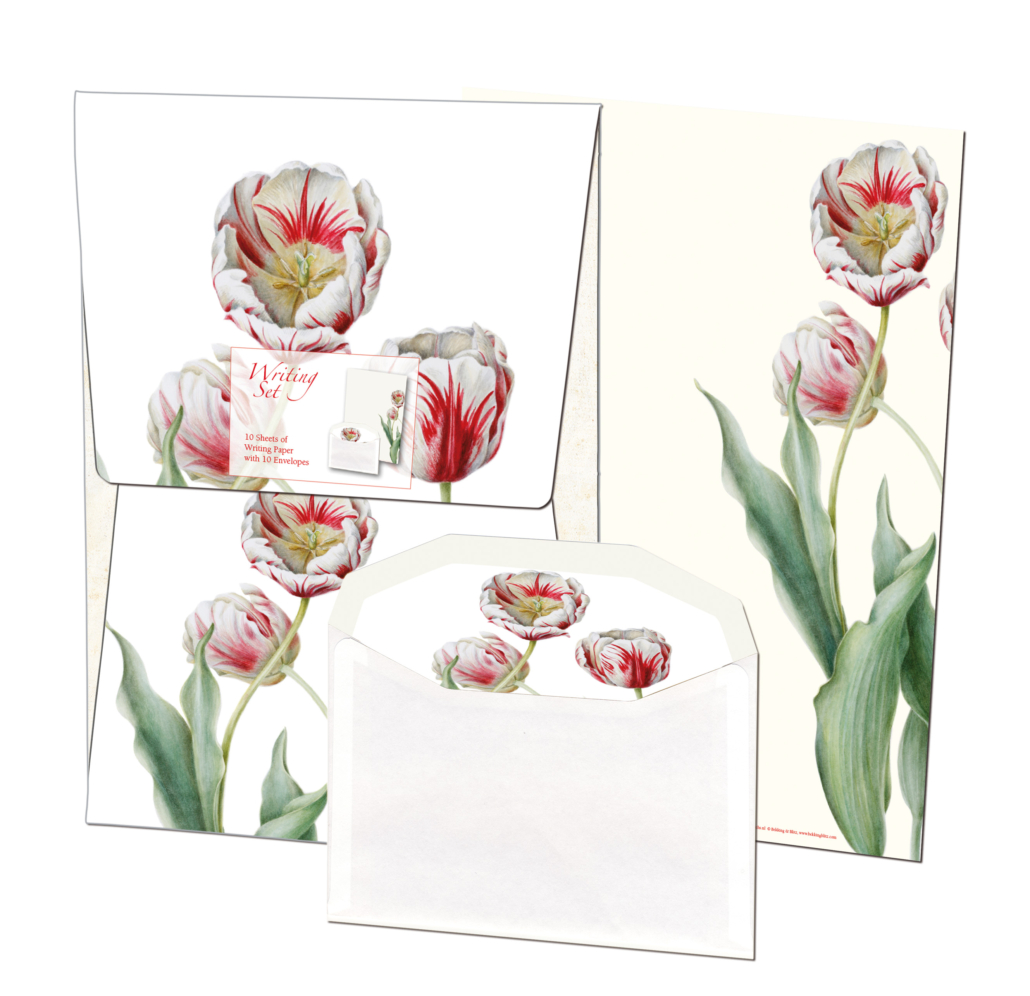 Briefpapier mit Umschläge: Tulipa ‚Teyler‘, Anita Walsmit Sachs