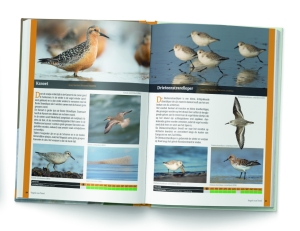 Vögel von Texel, Vogelinsel Texel