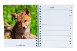 Die Niederlande – Ein Land voller Nature, Wochenagenda 2027