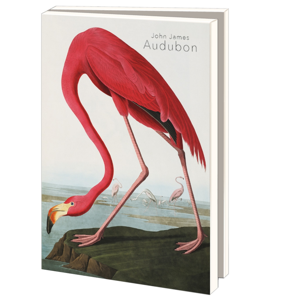 Grußkartenbox mit Umschläge – Groß: John James Audubon, Teylers Museum