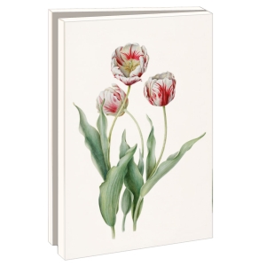Grußkartenbox mit Umschläge – Klein: Bloemen, Anita Walsmit Sachs