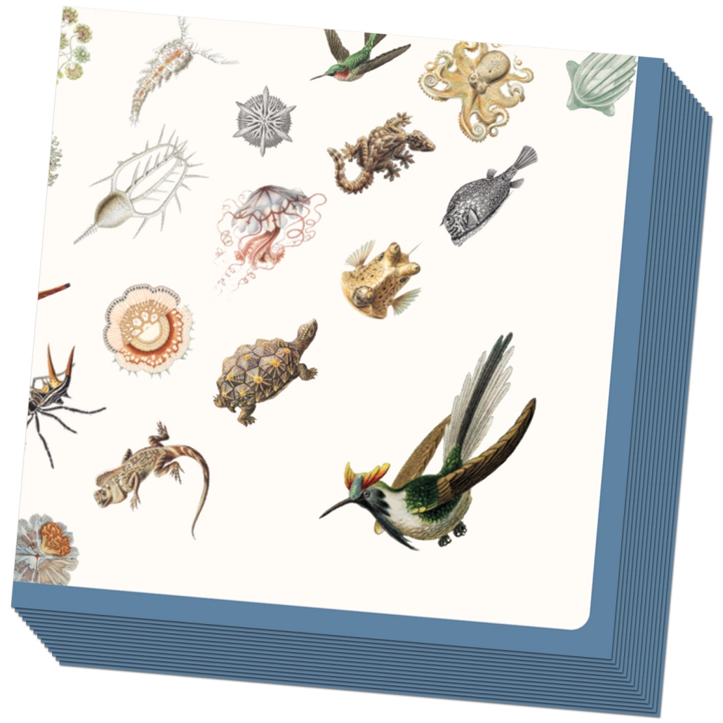Servietten: Art Forms of Nature, Ernst Haeckel, Teylers Museum