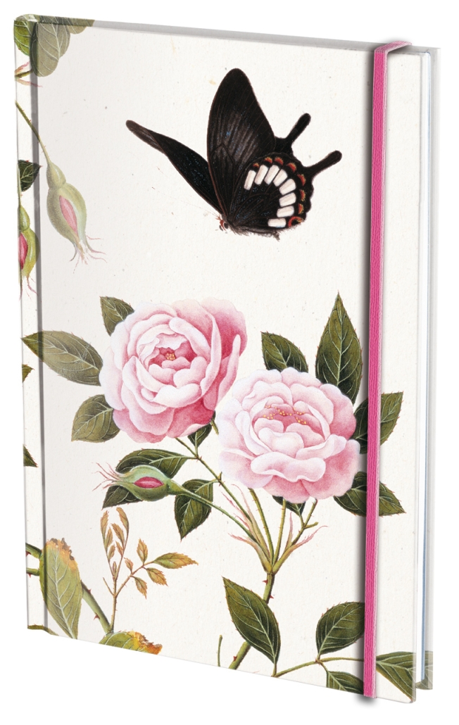 Notizbuch Hardcover A5: Roses in bud and bloom, The Fitzwilliam Museum
