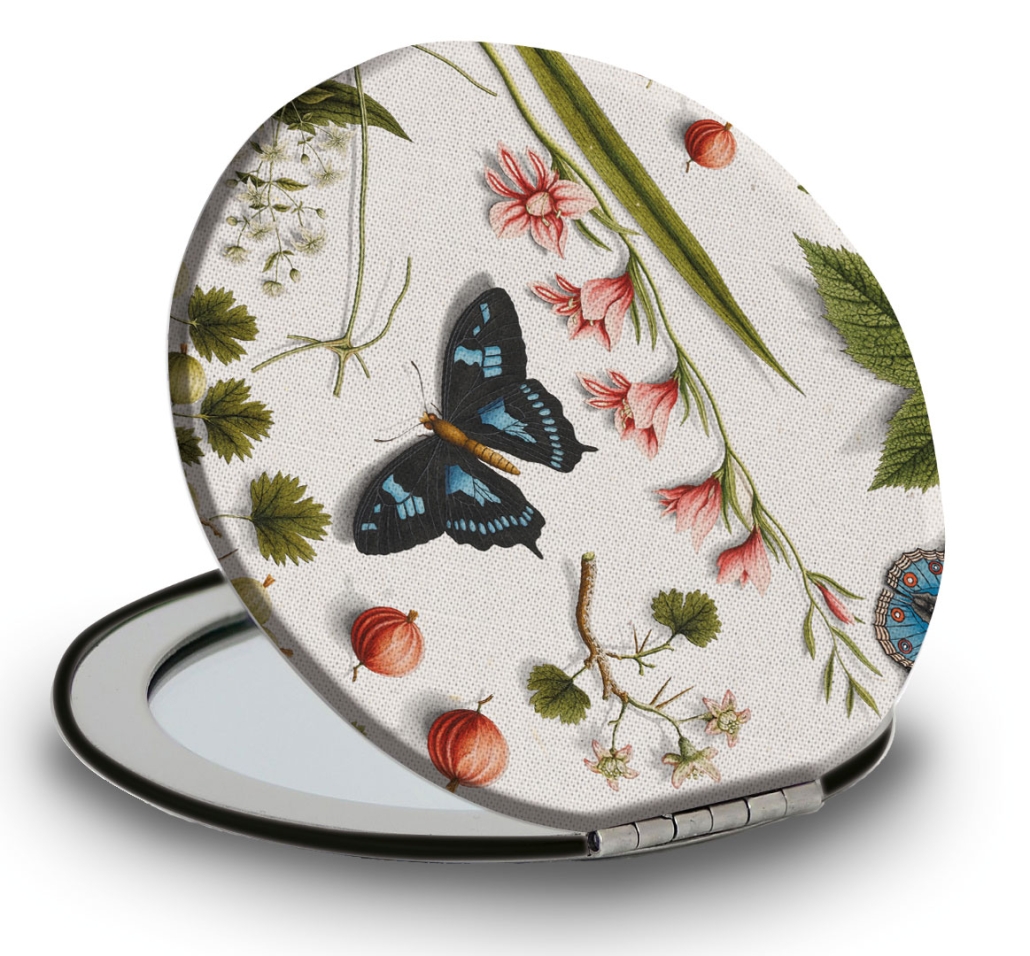 Taschenspiegel: Butterflies, Joseph Jakob von Plenck, The Fitzwilliam Museum