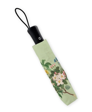 Regenschirm faltbar: Botanical Treasures, Chester Beatty