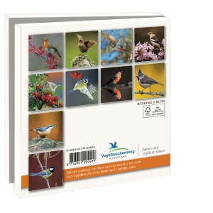 Grußkartenbox mit Umschläge – Quadratisch: Tuinvogels, Vogelbescherming Nederland