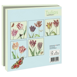 Grußkartenbox mit Umschläge – Quadratisch: Tulips, Jacob Marrel, Collection Rijksmuseum Amsterdam