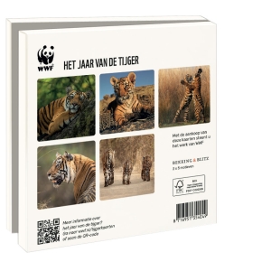 Grußkartenbox mit Umschläge – Quadratisch: Het jaar van de tijger, Wereld Natuurfonds