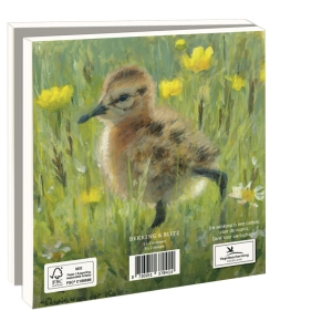 Grußkartenbox mit Umschläge – Quadratisch: Lente, Elwin van der Kolk, Vogelbescherming