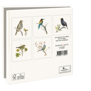 Grußkartenbox mit Umschläge – Quadratisch: Songbirds, Elwin van der Kolk, Vogelbescherming