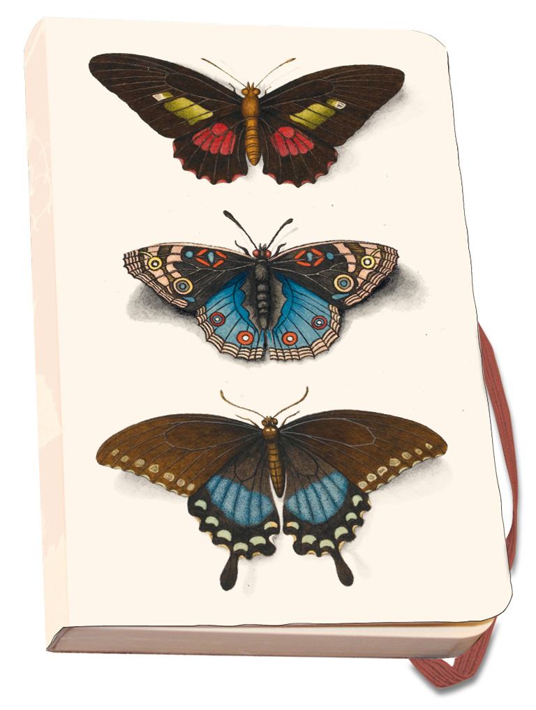 Notizbuch Softcover A6: Butterflies, Joseph Jakob von Plenck, The Fitzwilliam Museum