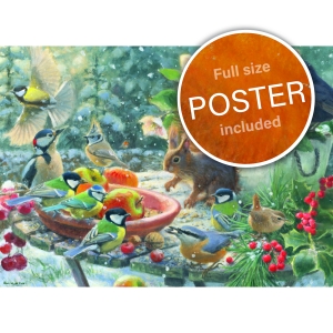 Puzzle (1.000 Stücke): A Robin’s Winter, Elwin van der Kolk, Vogelbescherming Nederland