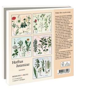 Grußkartenbox mit Umschläge – Quadratisch: Stoepplantjes, Hortus botanicus Leiden